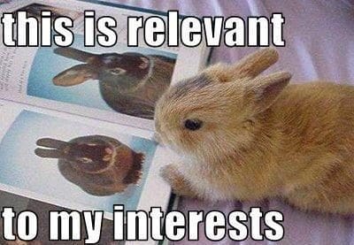 Syndicated Content Relevance